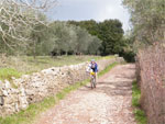 gal/2010/03 - La Via delle Miniere 2010/Al podere Quato/_thb_DSCF0746-01.jpg